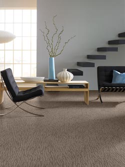 carpet flooring in a living room